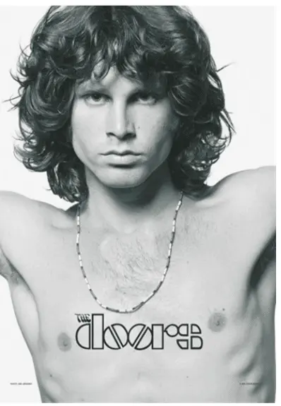 Flag-The Doors